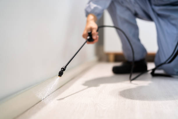 Licensed Ant Control service in Barry, IL - Show Me Pest Control